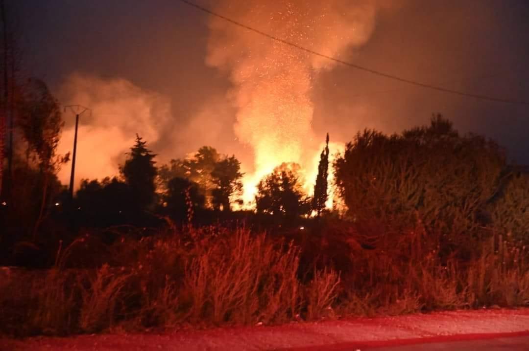 صرخة متضررة من حرائق طبرقة: الإعانات ذهبت الى "أنتريتية فرنسا" ولم تصل لمستحقيها